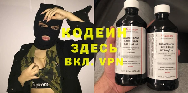 крисы Вяземский