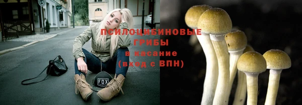 крисы Вяземский