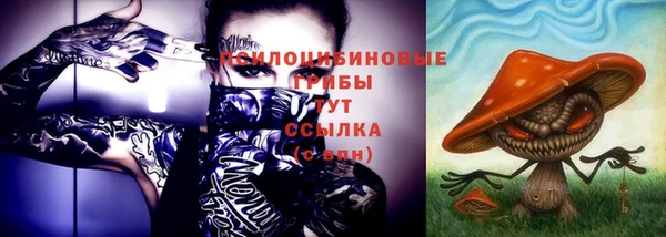 крисы Вяземский